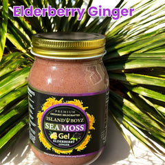 Elderberry Ginger Sea Moss Gel
