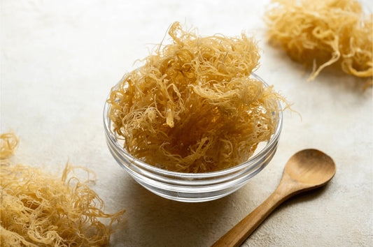 How we gather sea moss