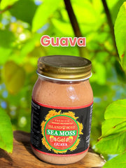 Guava Sea Moss Gel