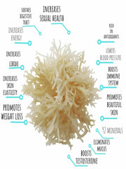 Ginger Sea Moss Gel